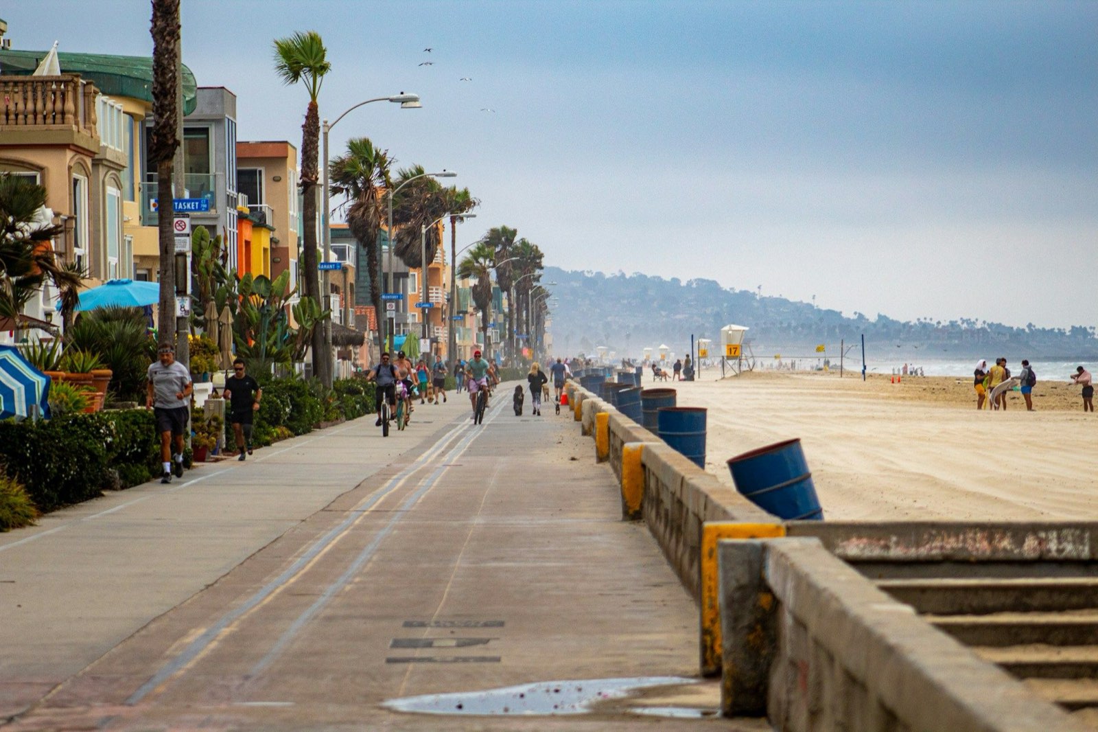 Dog training in San Diego, CA