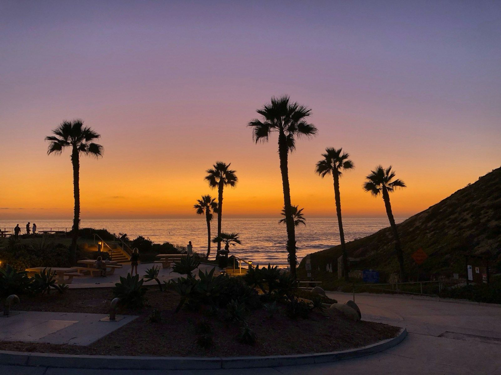 Dog training in Solana Beach, CA